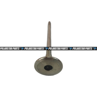 4926069 Exhaust Intake Valve M11 QSM11 ISM11 Mesin Diesel 3417779