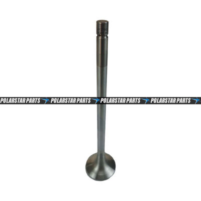 4926069 Exhaust Intake Valve M11 QSM11 ISM11 Mesin Diesel 3417779