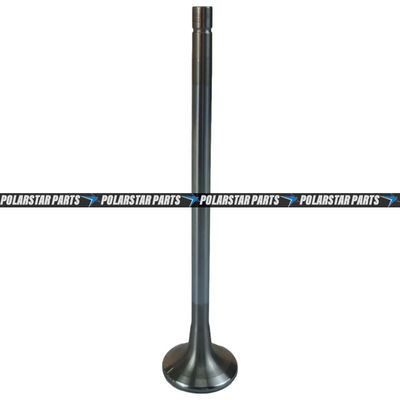 4926069 Exhaust Intake Valve M11 QSM11 ISM11 Mesin Diesel 3417779